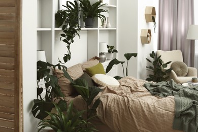 Comfortable bed and different houseplants in bedroom. Interior design