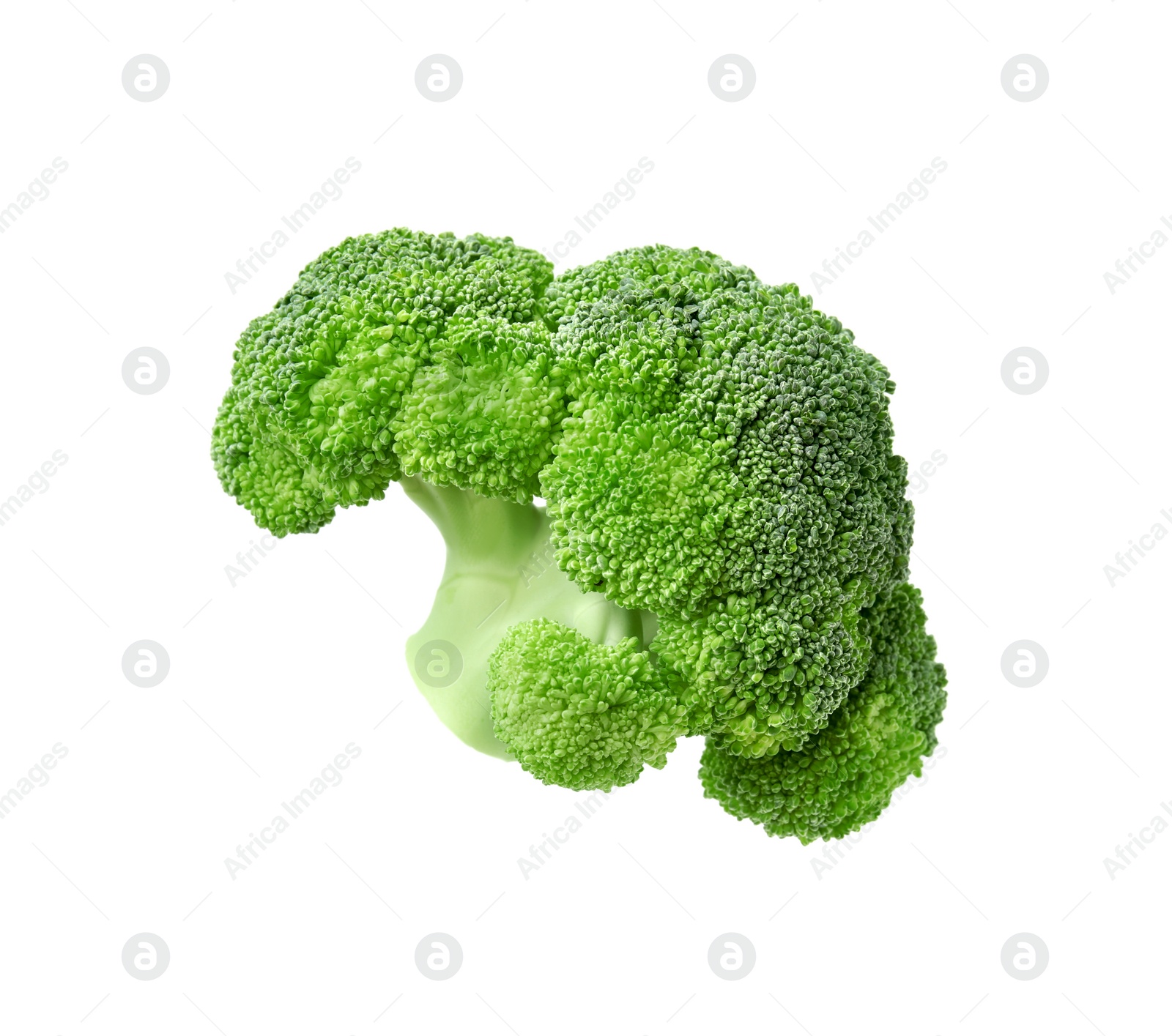 Photo of Fresh raw green broccoli isolated on white