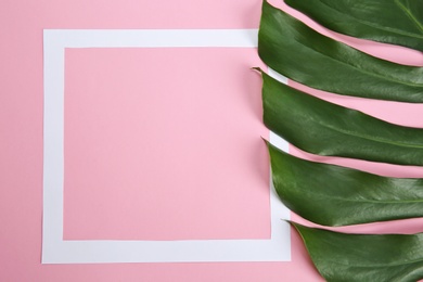 Flat lay composition with tropical leaves on color background