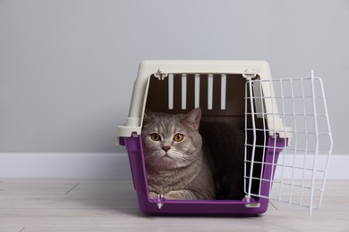 Photo of Travel with pet. Cute cat in carrier on floor near grey wall indoors, space for text