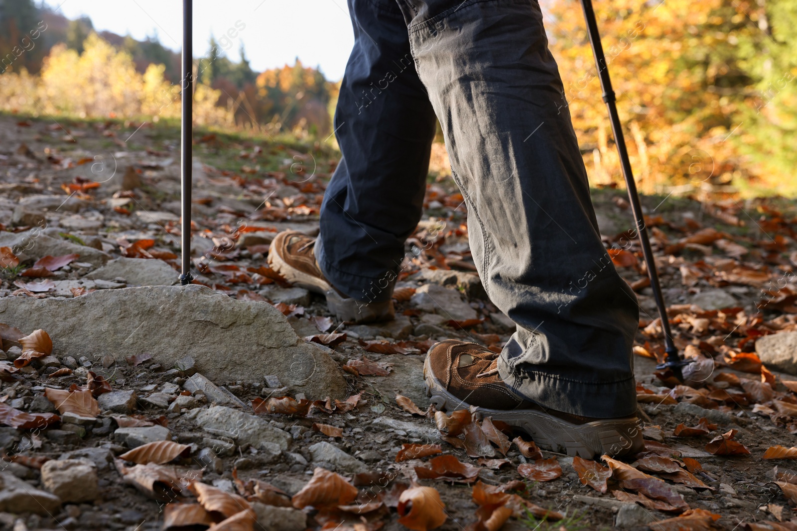 Photo of Hiker with trekking poles walking outdoors on sunny day, closeup