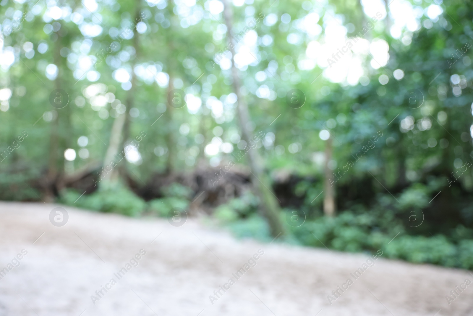 Photo of Blurred view of green trees in forest