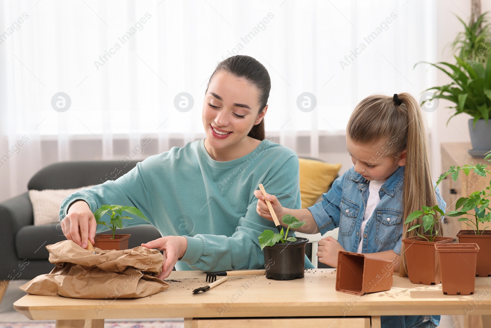 Photo of Mother and daughter planting seedling into pot together at wooden table in room