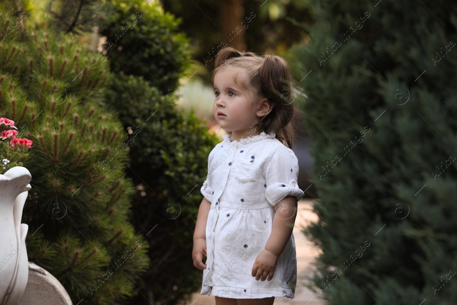 Photo of Cute little girl walking near green plants in park