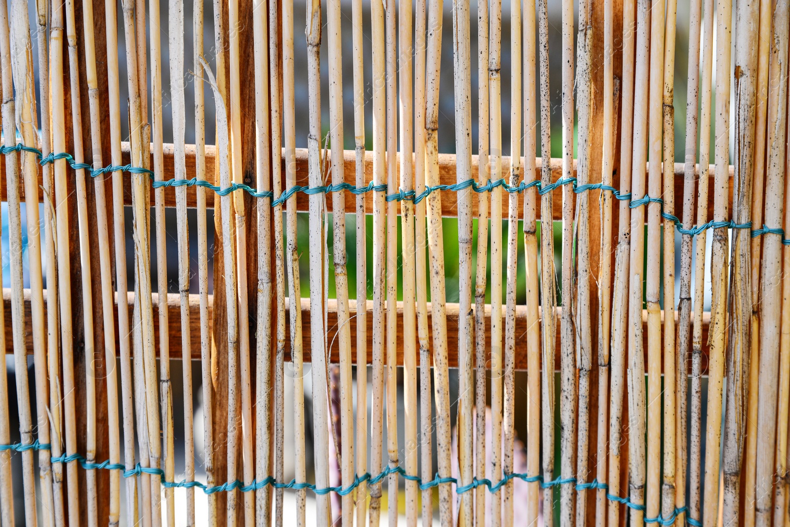 Photo of Screen of dry herbaceous stems as background, closeup view