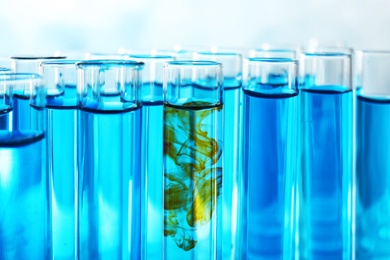 Photo of Many test tubes with blue liquid, closeup