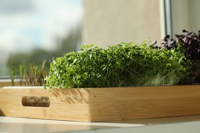 Photo of Different fresh microgreens in wooden crate on windowsill indoors