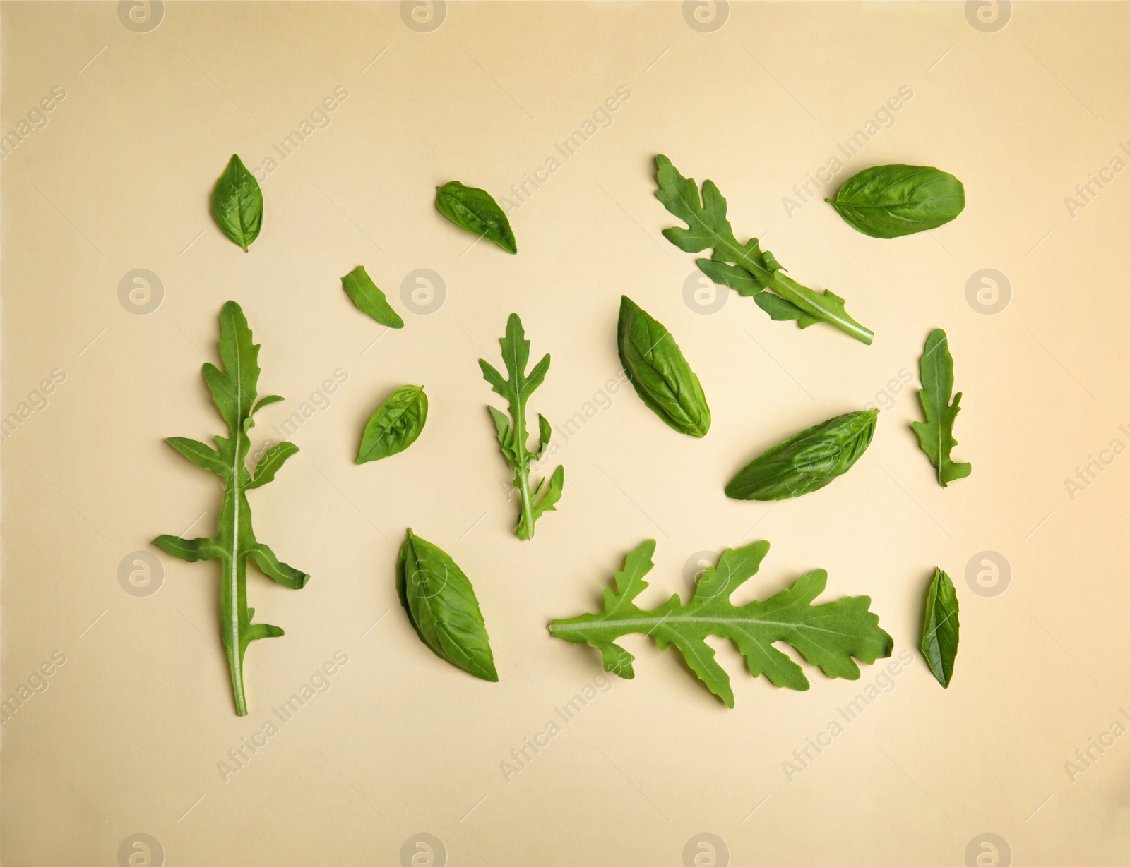 Photo of Flat lay composition with fresh ingredients for salad on beige background
