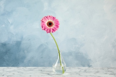 Beautiful bright gerbera flower in vase on marble table against color background