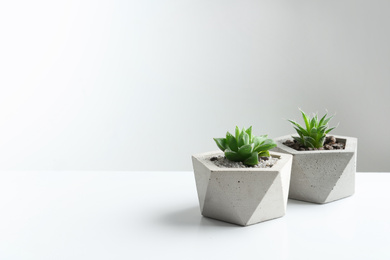 Photo of Succulent plants in concrete pots on white table. Space for text