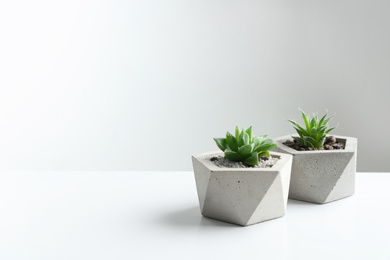 Succulent plants in concrete pots on white table. Space for text