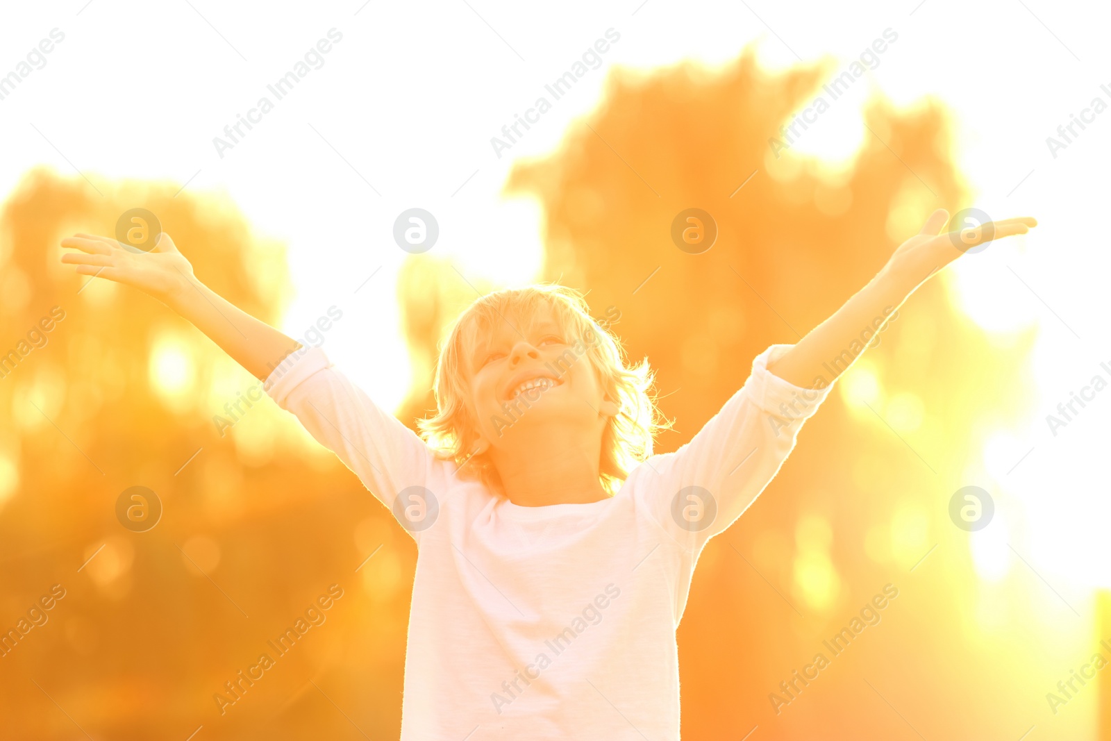 Photo of Cute little boy outdoors at sunset. Child spending time in nature