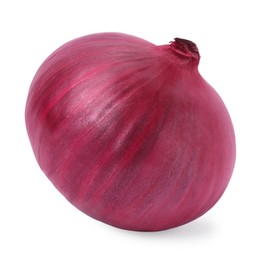 One fresh red onion on white background