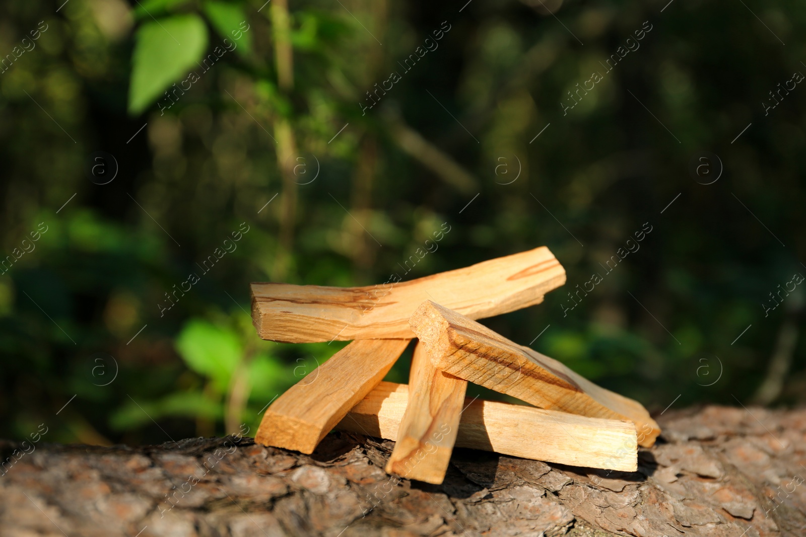 Photo of Palo santo sticks on tree bark outdoors