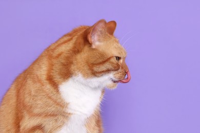 Photo of Cute cat licking itself on lilac background, space for text