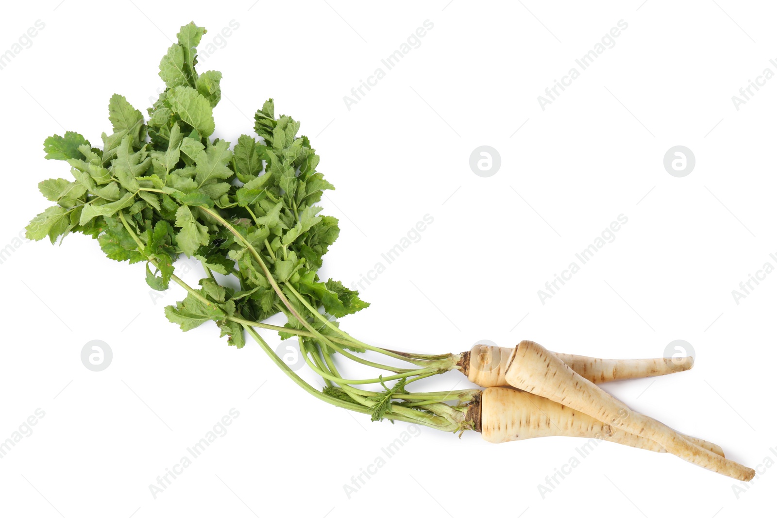 Photo of Tasty fresh ripe parsnips on white background, top view