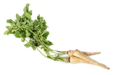 Tasty fresh ripe parsnips on white background, top view