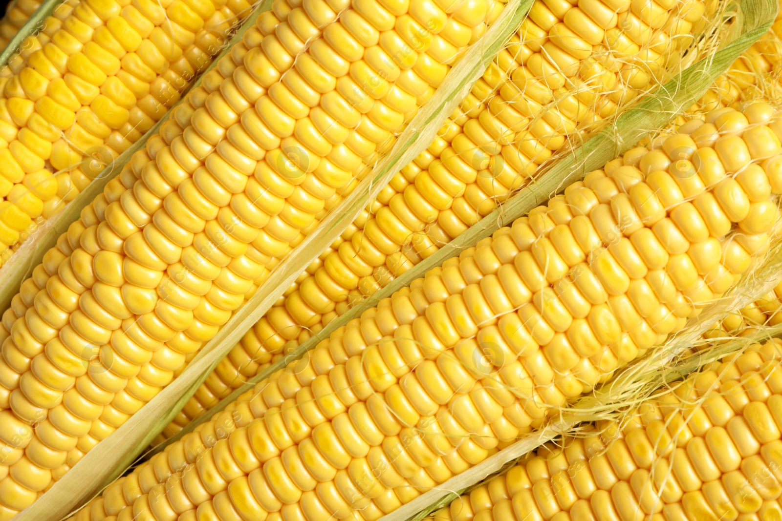 Photo of Tasty sweet corn cobs as background, top view