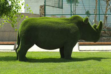 Photo of Beautiful rhinoceros shaped topiary at zoo on sunny day. Landscape gardening