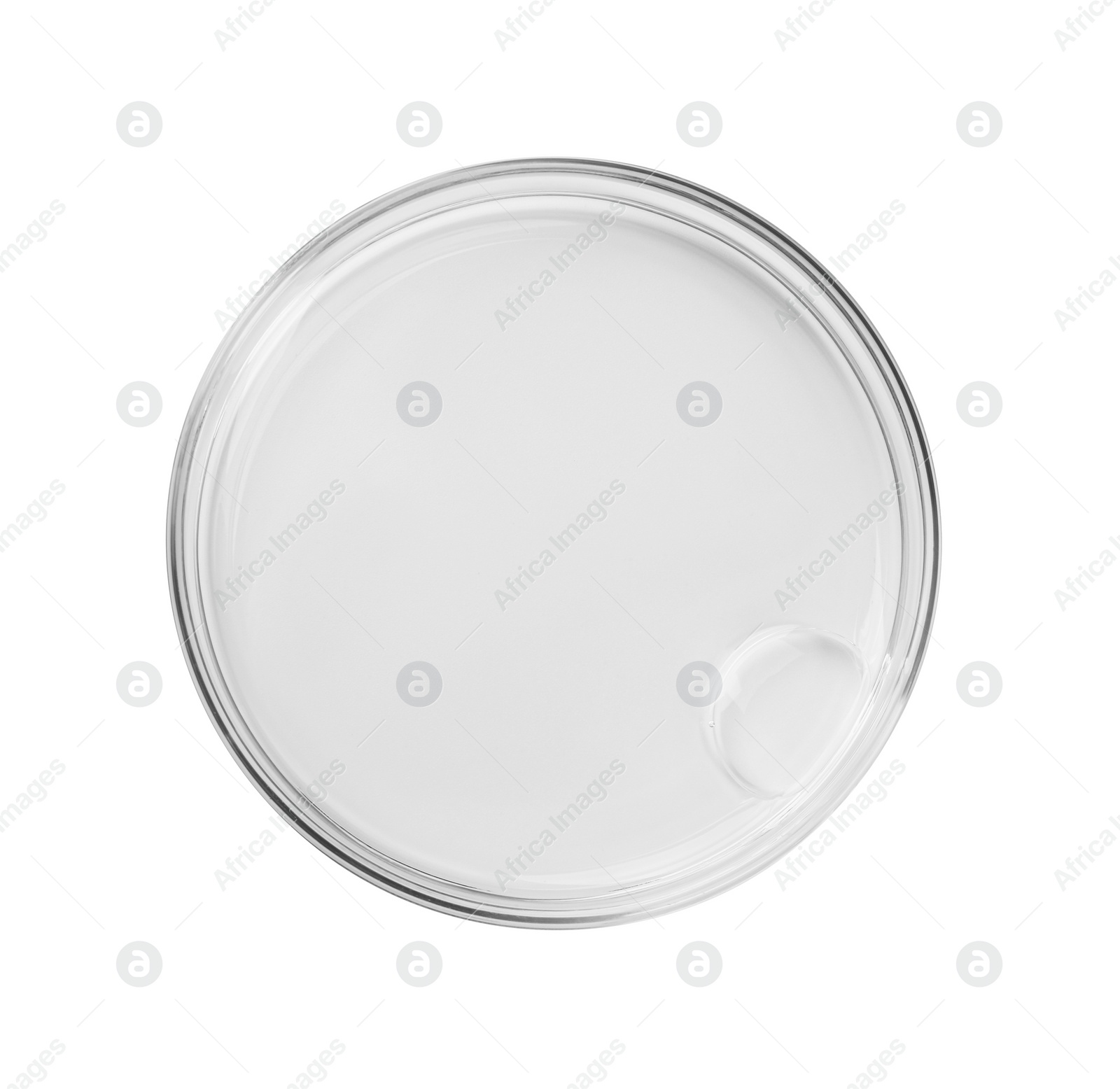 Photo of Petri dish with liquid sample isolated on white, top view