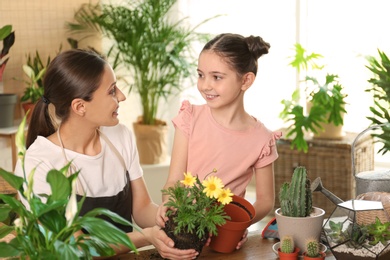 Photo of Mother and daughter transplanting plant at home