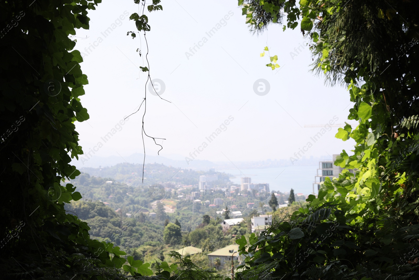 Photo of View through park thicket of beautiful cityscape