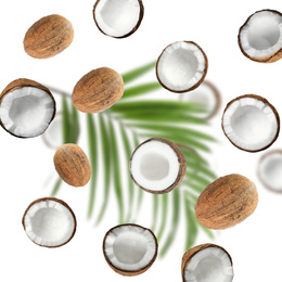 Image of Set with ripe coconuts on white background, top view