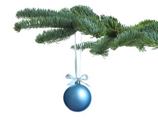 Photo of Beautiful Christmas ball hanging on fir tree branch against white background