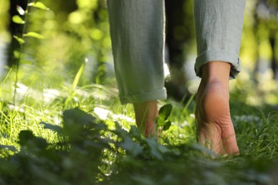 Photo of Woman walking barefoot on green grass outdoors, closeup