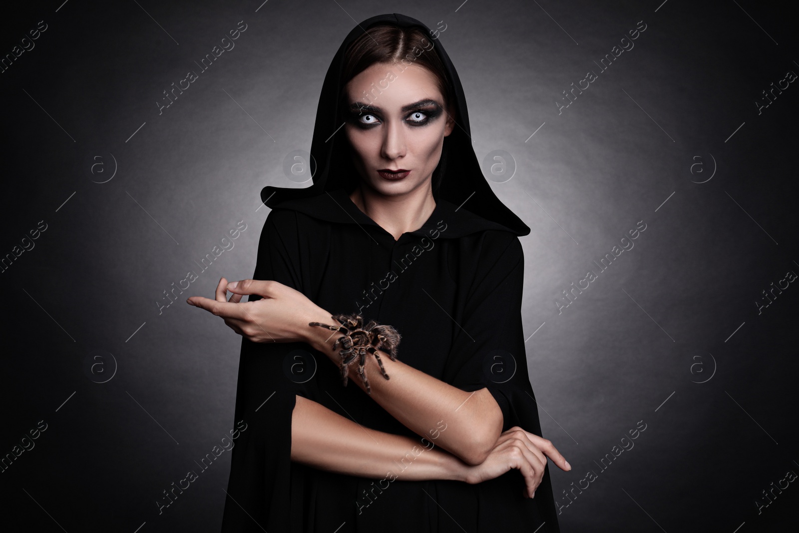 Photo of Mysterious witch with spooky spider on dark background