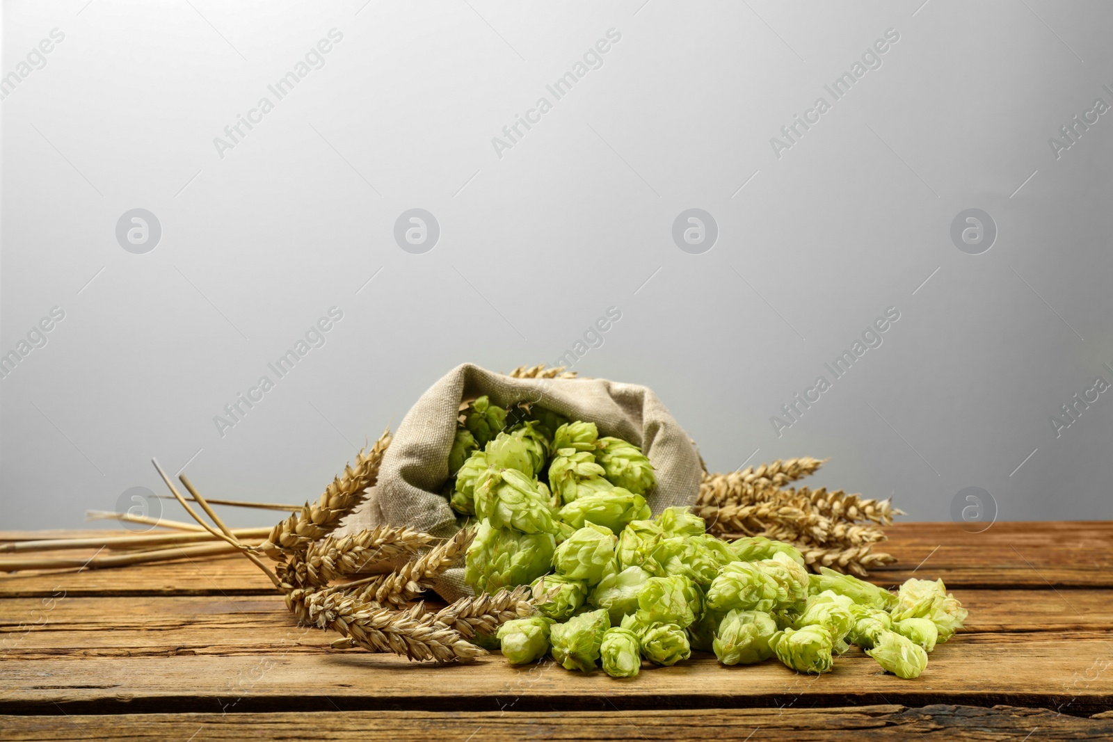 Photo of Overturned sack of hop flowers and wheat ears on wooden table against white background