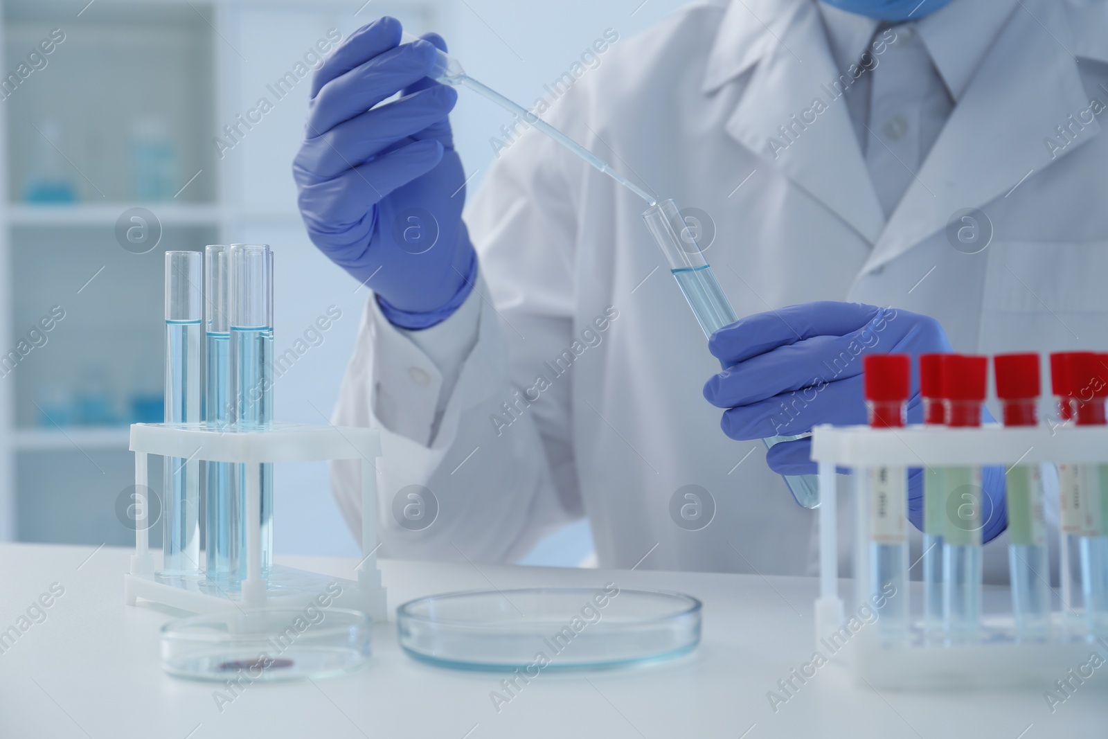 Photo of Scientist dripping sample into test tube in laboratory, closeup. Medical research