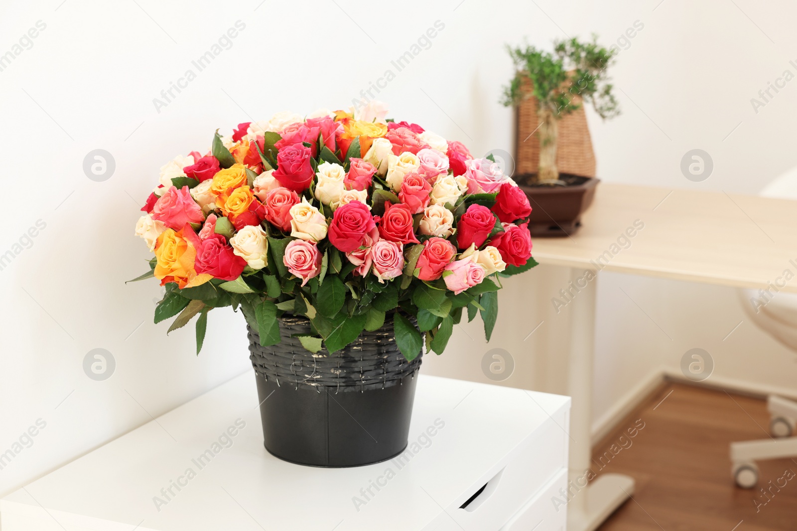 Photo of Bouquet of beautiful roses on white chest of drawers indoors, space for text