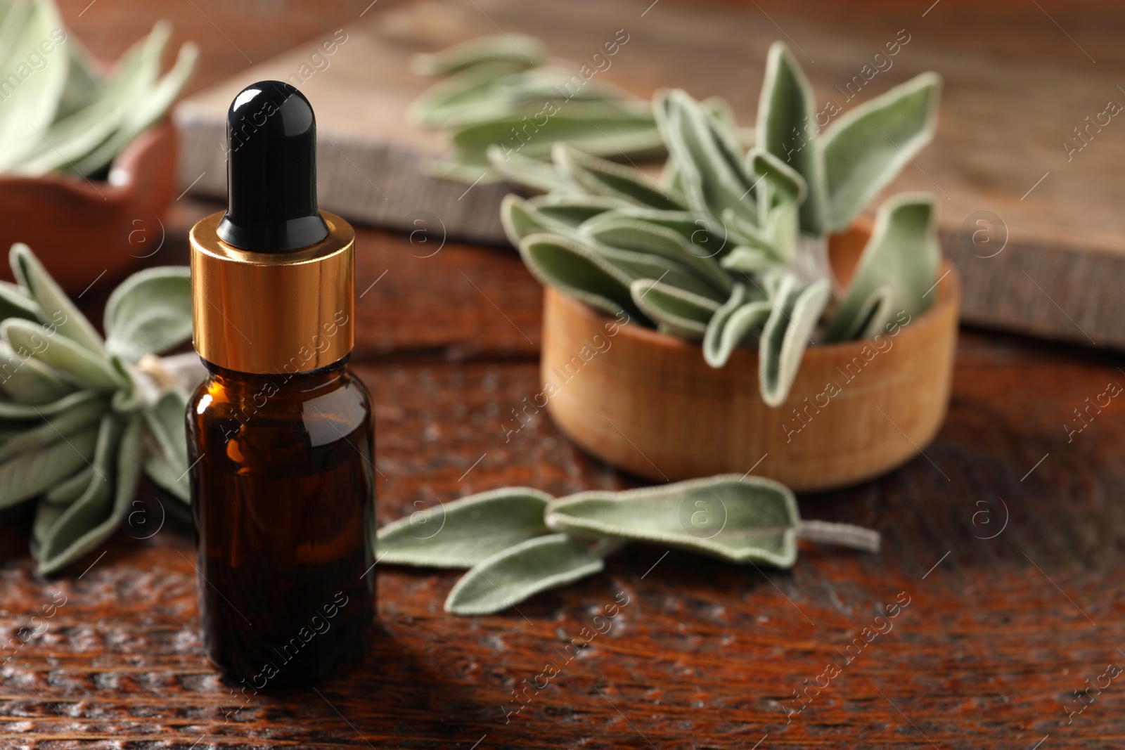 Photo of Bottle of essential sage oil and leaves on wooden table. Space for text