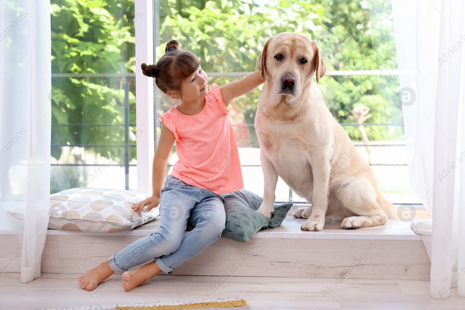 Photo of Adorable yellow labrador retriever and little girl near window at home