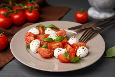 Tasty salad Caprese with mozarella balls, tomatoes and basil served on grey wooden table, closeup