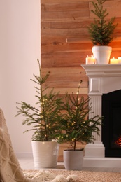 Beautiful room interior with potted firs and fireplace 