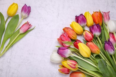 Beautiful colorful tulip flowers on white stone background, flat lay. Space for text