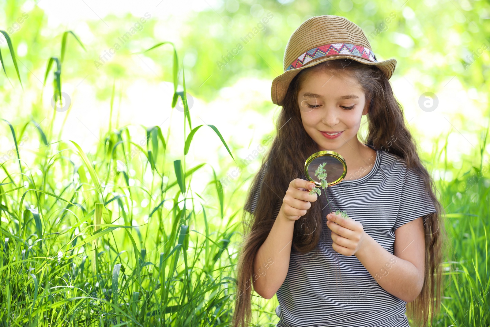 Photo of Little girl exploring plant outdoors. Summer camp