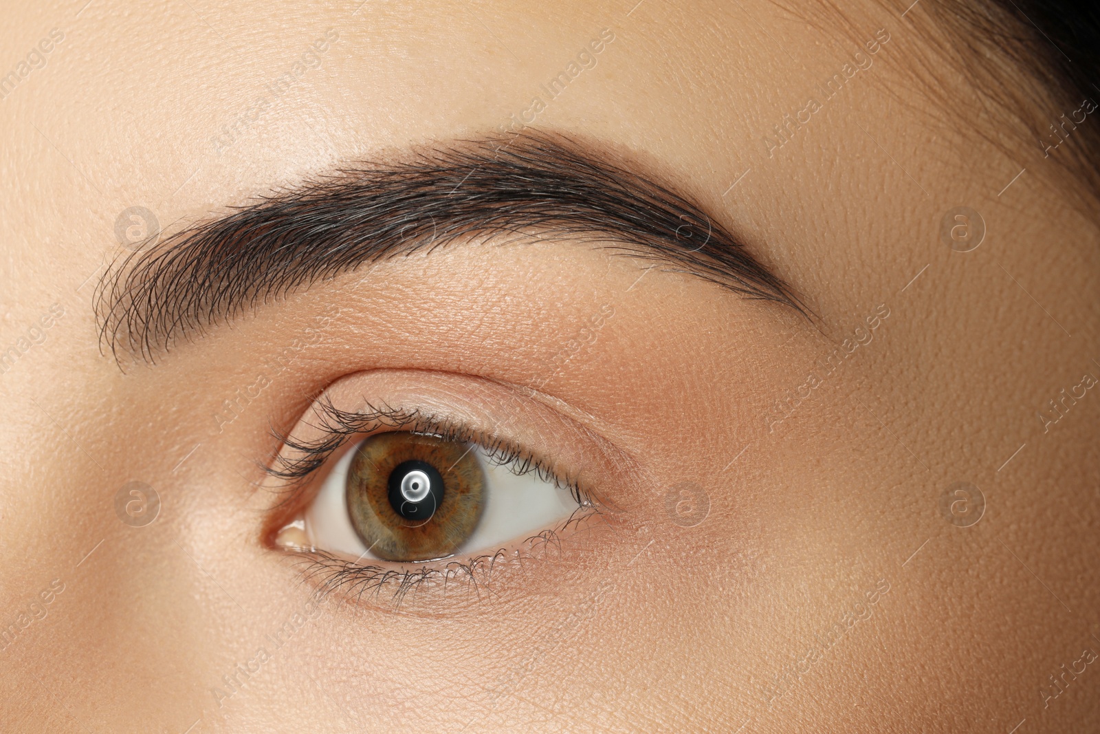 Photo of Young woman with beautiful eyebrows, closeup view