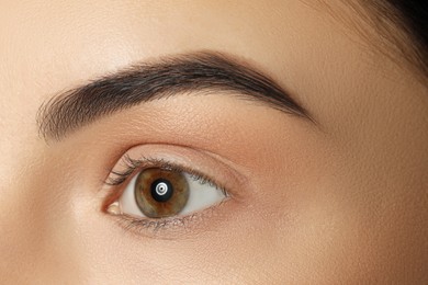 Photo of Young woman with beautiful eyebrows, closeup view