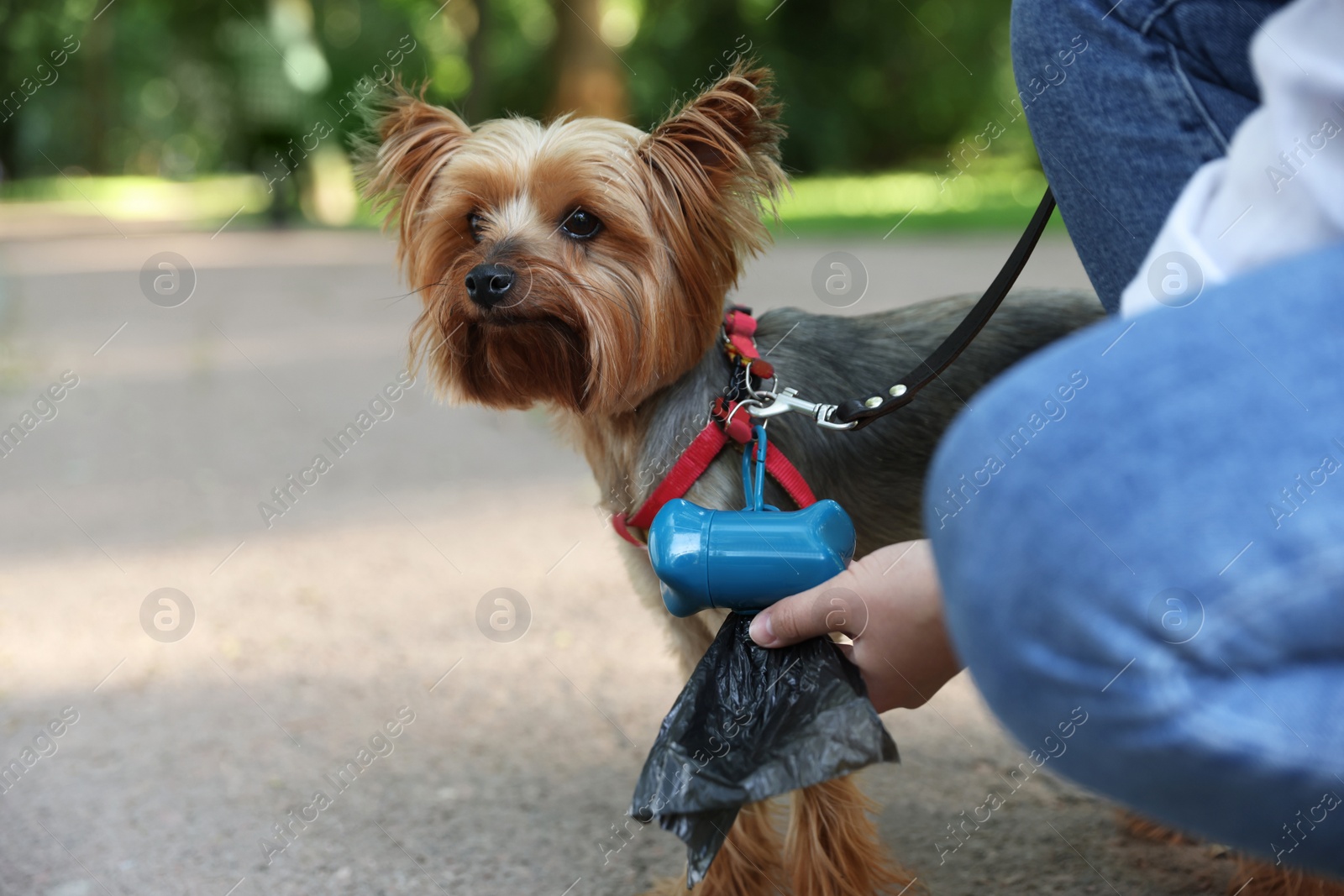 Photo of Woman with cute dog taking waste bag from holder in park, closeup