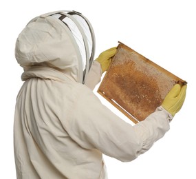 Beekeeper in uniform holding hive frame with honeycomb on white background, back view