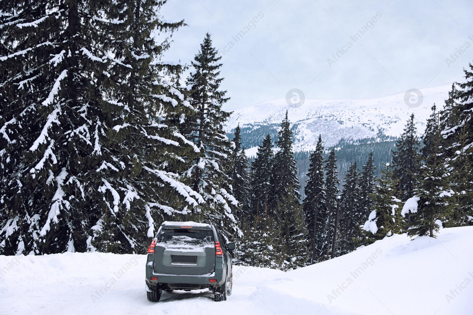 Photo of Modern car on snowy road in winter forest