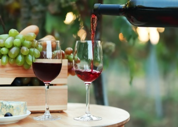 Photo of Pouring red wine from bottle into glass on table in vineyard