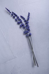 Photo of Beautiful preserved lavender flowers on light grey textured table, top view