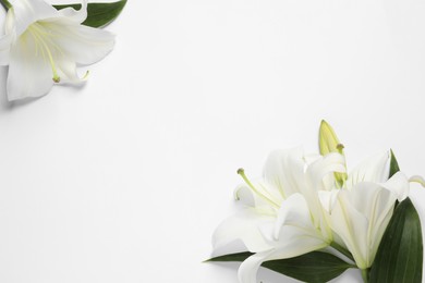 Beautiful lily flowers on white background, flat lay. Space for text