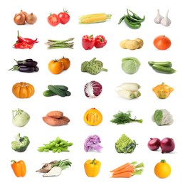 Image of Collage with many fresh vegetables on white background