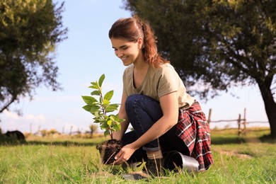 Young woman planting tree in garden on sunny day