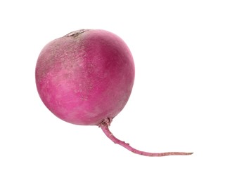 Whole fresh ripe turnip on white background